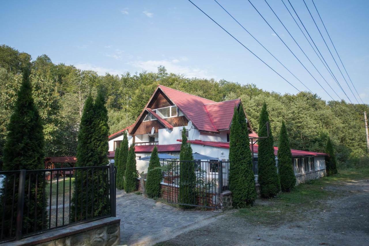 Popas Balea Rau Hotell Cîrţişoara Eksteriør bilde